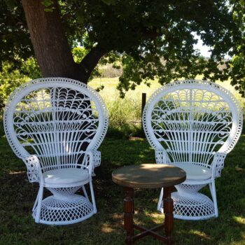 White Peacock Chairs Mornington - On Trend Event Hire