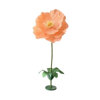 Peach Giant Poppy Flower Single Stem. On Trend Event Hire