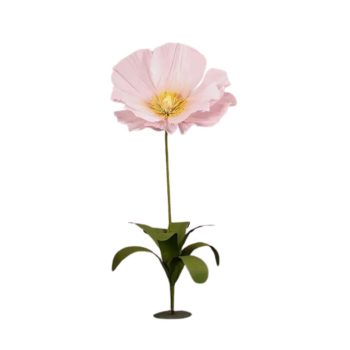 Pink Giant Poppy Flower Single Stem