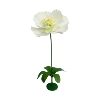 White Giant Poppy Flower Single Stem