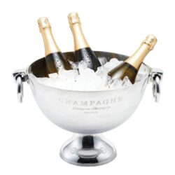 Small champagne bucket with bottles ice